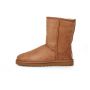 UGG - Classic Short Chestnut