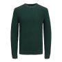 Jack & Jones Jprblawell heren darkest spruce