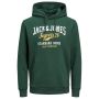Jack & Jones JJelogo Sweat Hood 2 Col Pine Grove