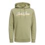 Jack & Jones Jwhtons Sweat Hood Oil Green