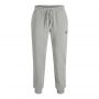 Jack & Jones Gordon Makoto Sweat Pant Grijs
