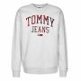 Tommy Hilfiger Plaid Logo Sweat Grijs