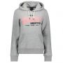 Superdry Vintage Logo American Classics Hood Grijs